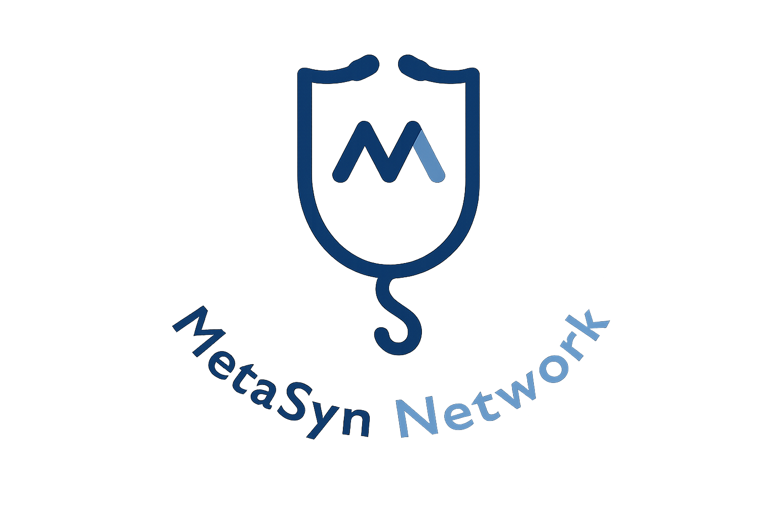 MetaSyn Network